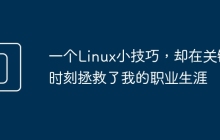 一个Linux小技巧，却在关键时刻拯救了我的职业生涯