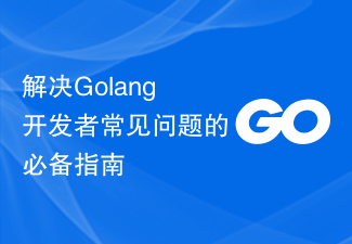 解决Golang开发者常见问题的必备指南