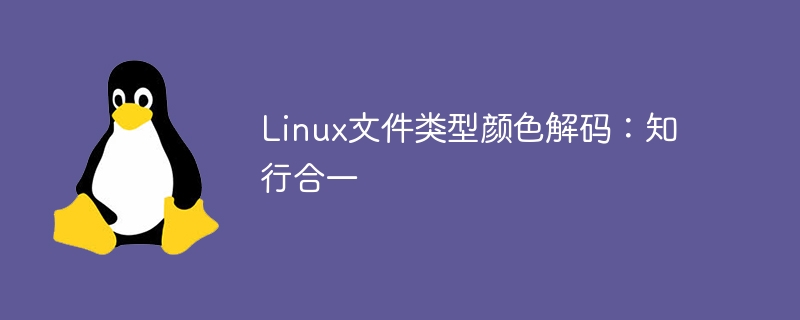 Linux文件类型颜色解码：知行合一