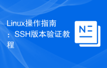 Linux操作指南：SSH版本验证教程