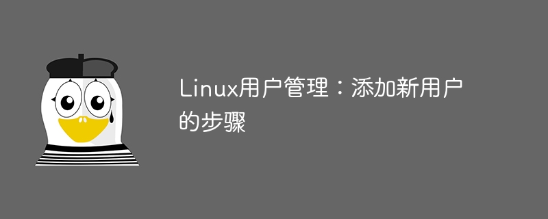 Schritte: Neuen Benutzer im Linux-System hinzufügen