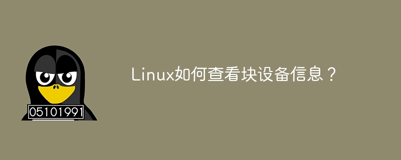 Linux 블록 장치 정보를 보는 방법은 무엇입니까?