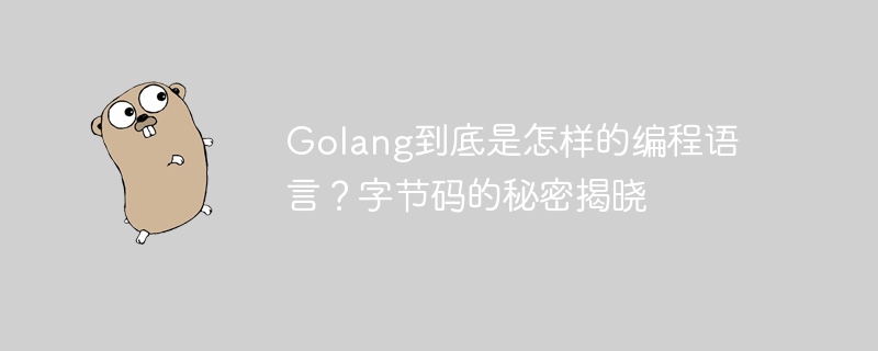 golang到底是怎样的编程语言？字节码的秘密揭晓
