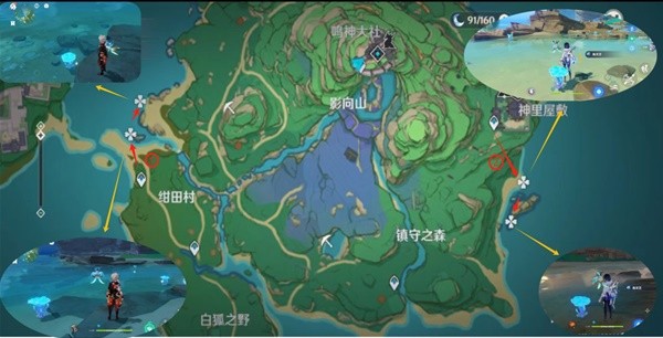 《原神》海靈芝採集路線攻略