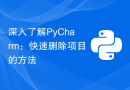深入了解PyCharm：快速删除项目的方法