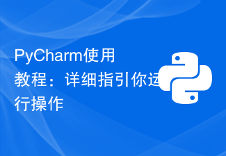 PyCharm usage tutorial: guide you in detail to run the operation