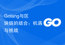 Golang与区块链的结合：机遇与挑战