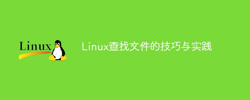 Linux 파일 검색 방법 및 응용