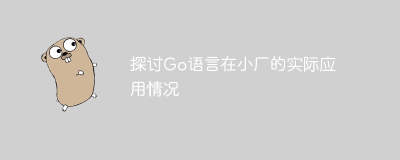 Go语言在小型企业中的实用性研究