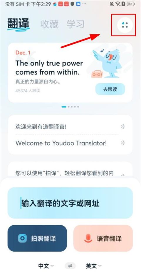 How to use Youdao Translator for real-time translation