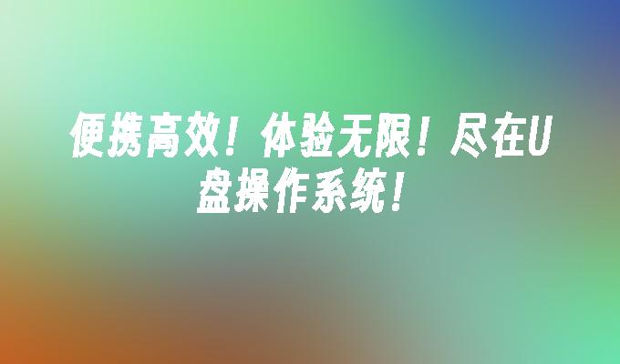 ポータブルで効率的！経験は無限大です！オールイン U ディスク オペレーティング システム!