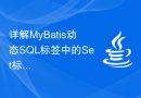 详解MyBatis动态SQL标签中的Set标签功能