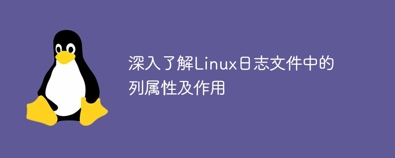 Detaillierte Analyse von Spaltenattributen in Linux-Protokolldateien