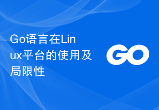 Go语言在Linux平台的使用及局限性