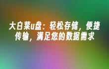 大白菜u盘:轻松存储,便捷传输,满足您的数据需求