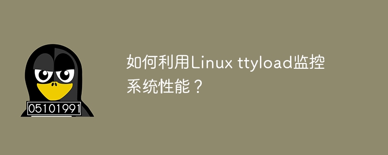 如何利用Linux ttyload监控系统性能？