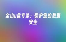 金山u盘专杀:保护您的数据安全