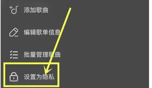 なぜ他の人はソーダミュージックのプレイリストを見ないのでしょうか?