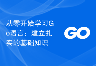 从零开始学习Go语言：建立扎实的基础知识