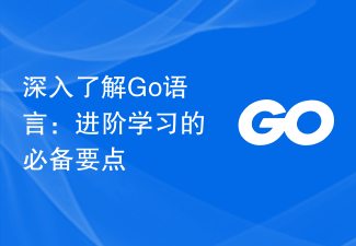 深入了解Go语言：进阶学习的必备要点