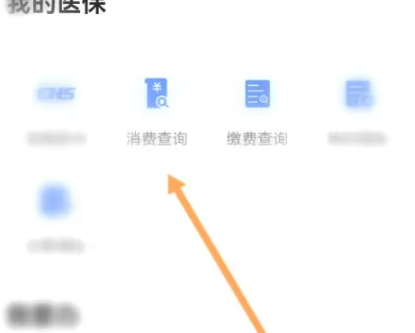 i厦门医保消费记录怎么看