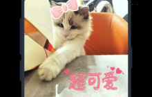 小众好用的视频编辑APP推荐_视频格式转换黑科技安卓软件有哪些