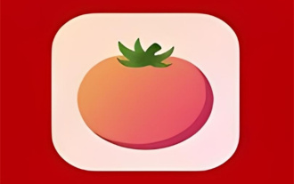 Comment écrire un roman sur Tomate