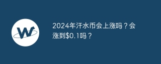 2024年汗水币会上涨吗？会涨到$0.1吗？