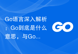 Go语言深入解析：Go到底是什么意思，与Golang有何联系？