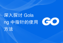 深入探讨 Golang 中指针的使用方法