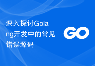 深入探讨Golang开发中的常见错误源码