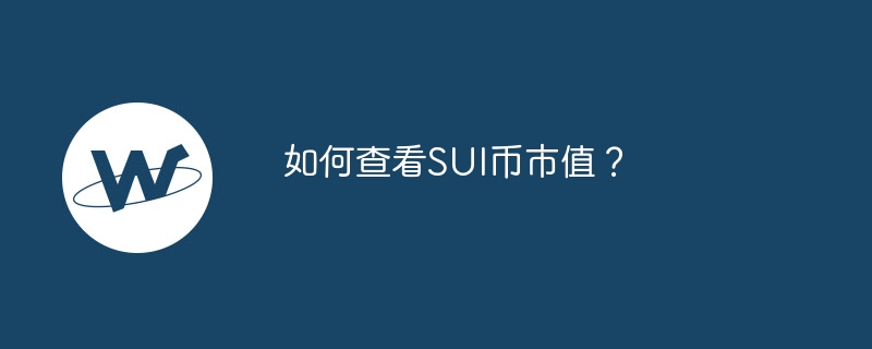 SUI 코인의 시장 가치를 확인하는 방법은 무엇입니까?