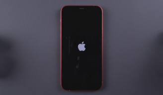 iOS17.4系统降级白苹果了怎么办？2种iOS系统修复办法解决！