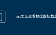 linux怎么查看数据盘挂载点