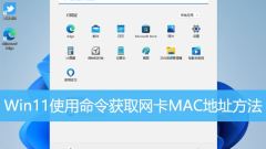 How to check the MAC address of the network card in Win11? How to use the command to obtain the MAC address of the network card in Win11