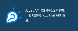 Java JAX-RS 中的版本控制:管理你的 RESTful API 演变
