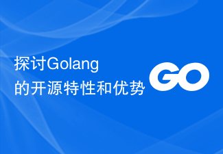 探讨Golang的开源特性和优势