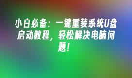 小白必备：一键重装系统U盘启动教程，轻松解决电脑问题！