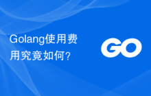 Golang使用费用究竟如何？