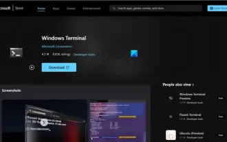 WSL tips and tricks to speed up and improve your WSL experience