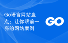 Go语言网站盘点:让你眼前一亮的网站案例