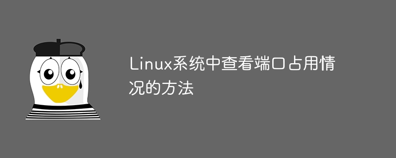 Linux システムでポートの占有を確認する方法