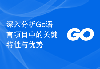 深入分析Go语言项目中的关键特性与优势