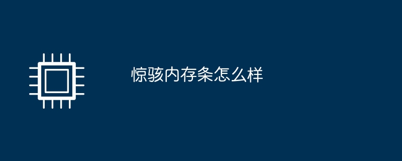 驚駭記憶體怎麼樣