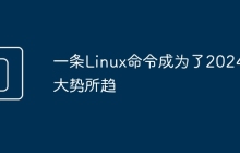 一条Linux命令成为了2024的大势所趋