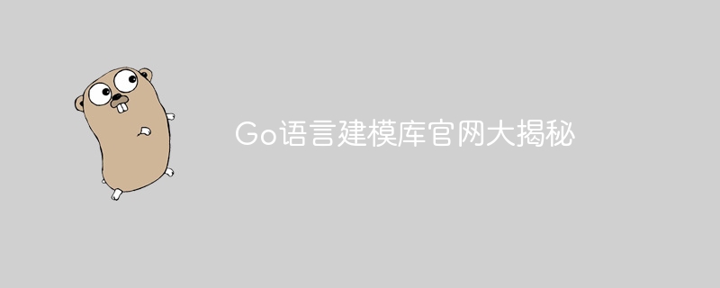 Go 言語モデリング ライブラリの公式 Web サイトがその秘密を明らかにします