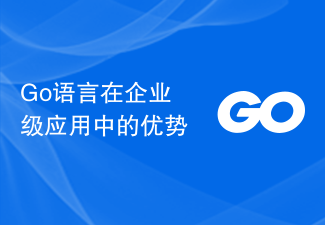 Avantages du langage Go dans les applications d'entreprise