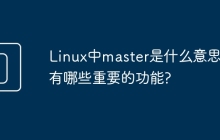 Linux中master是什么意思?有哪些重要的功能?