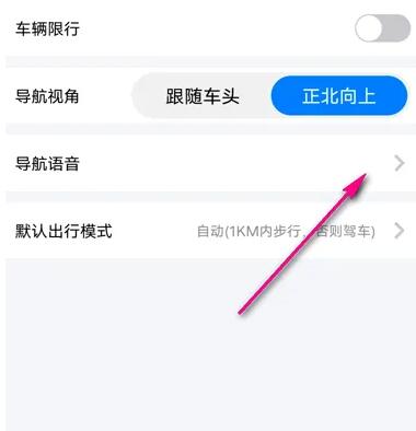 How to set up 嗲嗲 voice navigation