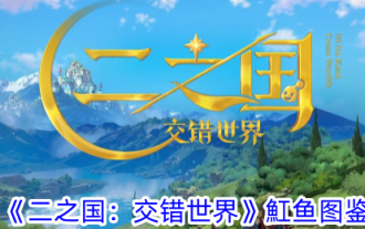 'Ni No Kuni: Crossed World' Stingray Illustrated Book